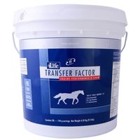 Equine Performance & Show